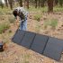 8 Best Solar Lights for Garden Pathways in 2026