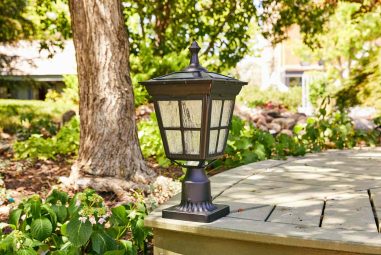 8 Best Solar Lights for Garden Pathways in 2026