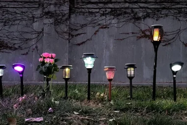 6 Best Solar Pathway Lights for Bright Illumination in 2026