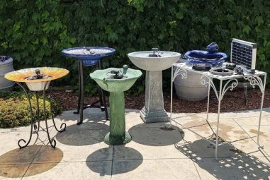 6 Best Solar Bird Bath Fountains for Gardens in 2026