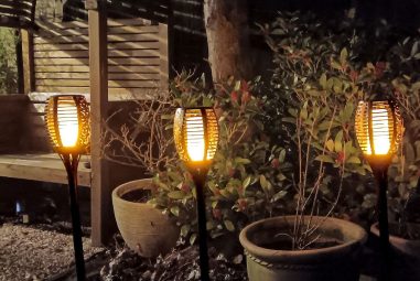 5 Best Waterproof Solar Lights for Gardens in 2026