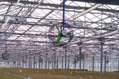 8 Best Solar Powered Fans for Greenhouses in 2026